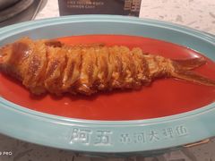 -阿五黄河大鲤鱼(英协路店)