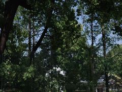 -J Create城市露营咖啡·简餐·宠物(上海动物园店)