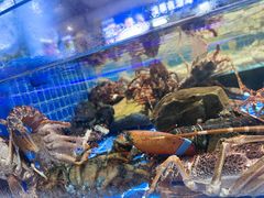 -渔港甄宴·海鲜·地标烟台菜(金沙滩店)