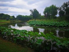 -东郊湿地公园