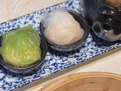 -点都德·毕德寮
