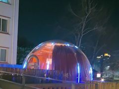 -羊门客在·烤盐池滩羊·川菜