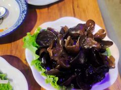 牛筋牛腩煲-十六蒲(桂林路店)