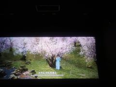 -天幕新彩云国际影城(激光巨幕店)