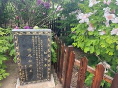 -曹州百花园