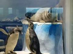 -国家自然博物馆