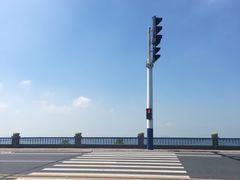 -合肥滨湖国家森林公园