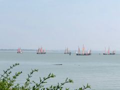 -贡湖湾湿地公园