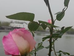-千禧万福汉亭舫·船舫苏宴