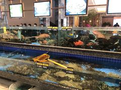 -聚福宝合苑食府(南头镇店)