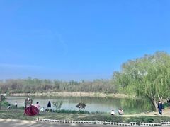 -塘沽森林公园
