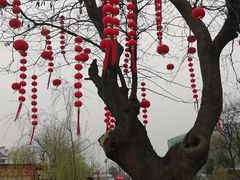 -茯茶镇