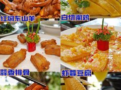 -兴隆槟榔园休闲农庄