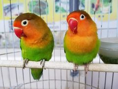 -乡乐园蟹庄·阳澄湖农家乐