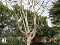 -华山儿童公园