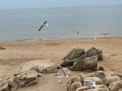 -老虎石海上公园