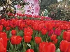 -南山植物园