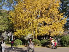 -食膳公园包子铺(烈士公园店)