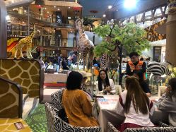 -卡通尼·Safari非洲探索乐园·生日会(金桥国际商业广场店)