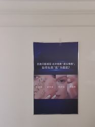 -LUNA皮相美·骨相美高级美感