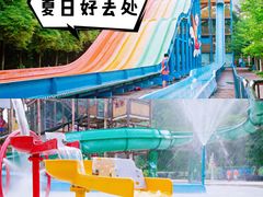 -重庆海昌加勒比海水世界