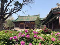 -晋祠公园