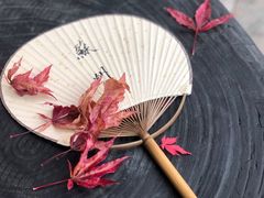 -苏州本色美术馆