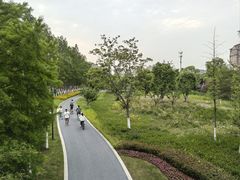 -昆山城市生态森林公园