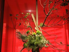 -星·South Beauty·俏江南(国贸店)