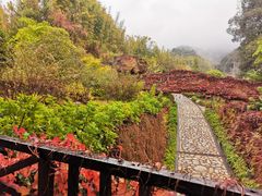 -韶关经律论国际酒店温泉