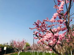 -西安汉城湖景区