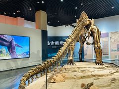 -衢州市博物馆