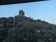 -七欣天香辣蟹火锅(南京建宁路大观天地店)
