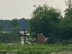 -苏州太湖国家湿地公园