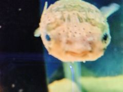 -嘉兴海底世界