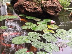 -大连步云山老汤度假山庄