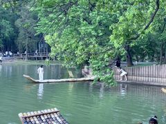 -东湖落雁景区