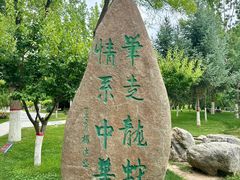 -雁滩公园