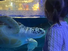 -欢乐海岸海洋奇梦馆