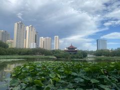 -青城公园