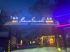 -枫花园汽车电影院(朝阳公园店)