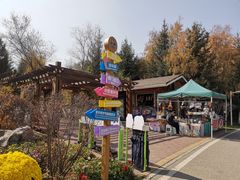 -青藏高原野生动物园