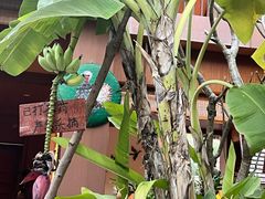 -西双版纳洲际度假酒店-曼霖轩中餐厅