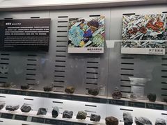 -中国地质博物馆