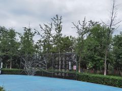 -青龙湖公园