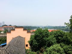 -鸡鸣赐茶(鸡鸣寺路店)