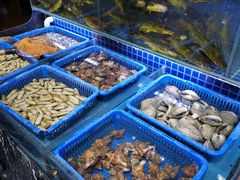 水产区-必点海鲜·鲅鱼水饺(鞍山西道店)