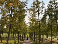 -汉长安城未央宫国家考古遗址公园