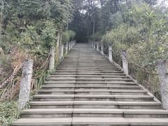 -铁山坪森林公园