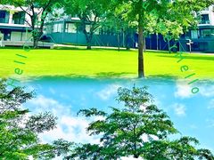 -广州国际生物岛